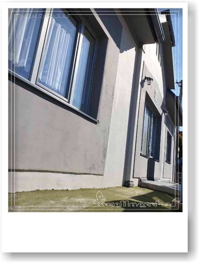 Wellnesska Vyhne Villa Exterior photo